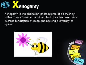 Bees are xenogamy initiators!